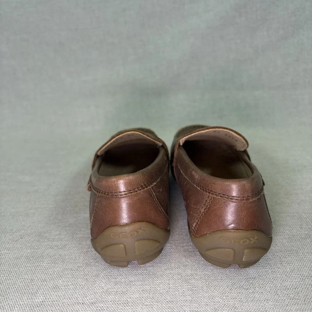 Geox standard brown shoe